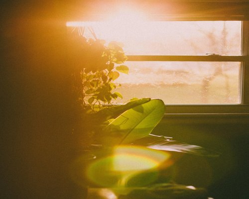 Natural light streaming through window onto a desk